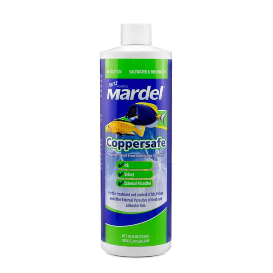 Mardel Coppersafe Chelated Copper Treatment 1ea/16 fl oz for your Pet Fish with Pet Store X!