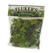 Fluker's English Ivy Repta-Vines Green 1ea/6 ft