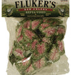 Fluker's Red Coleus Repta-Vines Green, Red 1ea/6 ft