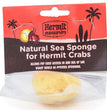 Fluker's Hermit Crab Natural Sea Sponge Yellow 1ea