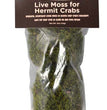 Fluker's Hermit Crab Live Moss Green 1ea/05 oz for your Pet Reptile with Pet Store X.