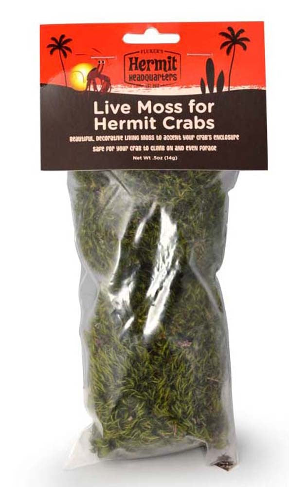 Fluker's Hermit Crab Live Moss Green 1ea/05 oz for your Pet Reptile with Pet Store X.