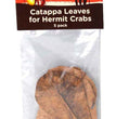 Fluker's Hermit Crab Catappa Leaves Brown 1ea/5 pk for your Pet Reptile with Pet Store X.