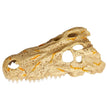 Zilla Rapid Sense Decor Medium Crocodile Skull 1ea/Medium for your Pet Reptile with Pet Store X.