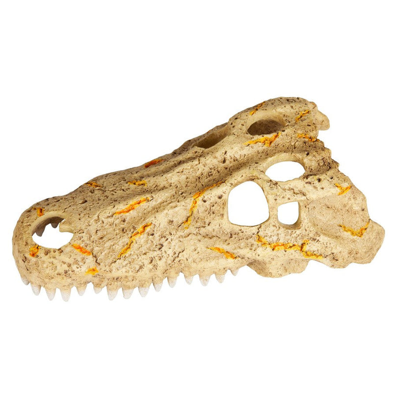 Zilla Rapid Sense Decor Medium Crocodile Skull 1ea/Medium for your Pet Reptile with Pet Store X.