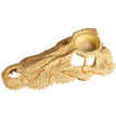 Zilla Rapid Sense Decor Large Crocodile Skull 1ea/Large for your Pet Reptile with Pet Store X.