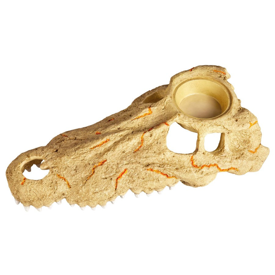 Zilla Rapid Sense Decor Large Crocodile Skull 1ea/Large for your Pet Reptile with Pet Store X.