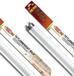 Zilla T8 Fluorescent Bulbs Desert Series 50, 1ea/17 W for your Pet Reptile with Pet Store X.