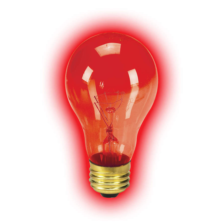 Zilla Incandescent Bulbs Night Red 1ea/75 W