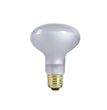 Zilla Incandescent Spot Bulbs Day White 1ea/75 W