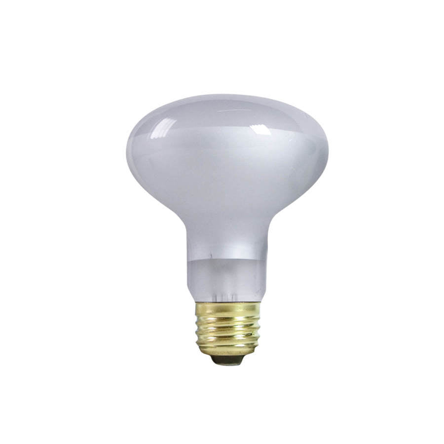 Zilla Incandescent Spot Bulbs Day White 1ea/75 W