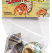 Zoo Med Hermit Crab Growth Shell Assorted 1ea/MD, 2 pk