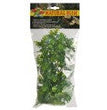 Zoo Med Natural Bush Amazonian Phyllo Plants Green 1ea/18 in, MD