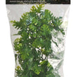 Zoo Med Natural Bush Amazonian Phyllo Plants Green 1ea/18 in, MD