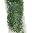 Zoo Med Natural Bush Cannabis Plants Green 1ea/18 in, MD