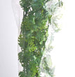 Zoo Med Natural Bush Amazonian Phyllo Plants Green 1ea/22 in, LG