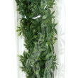 Zoo Med Natural Bush Cannabis Plants Green 1ea/22 in, LG for your Pet Reptile with Pet Store X.