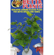 Zoo Med Betta Plant Philo Green 1ea