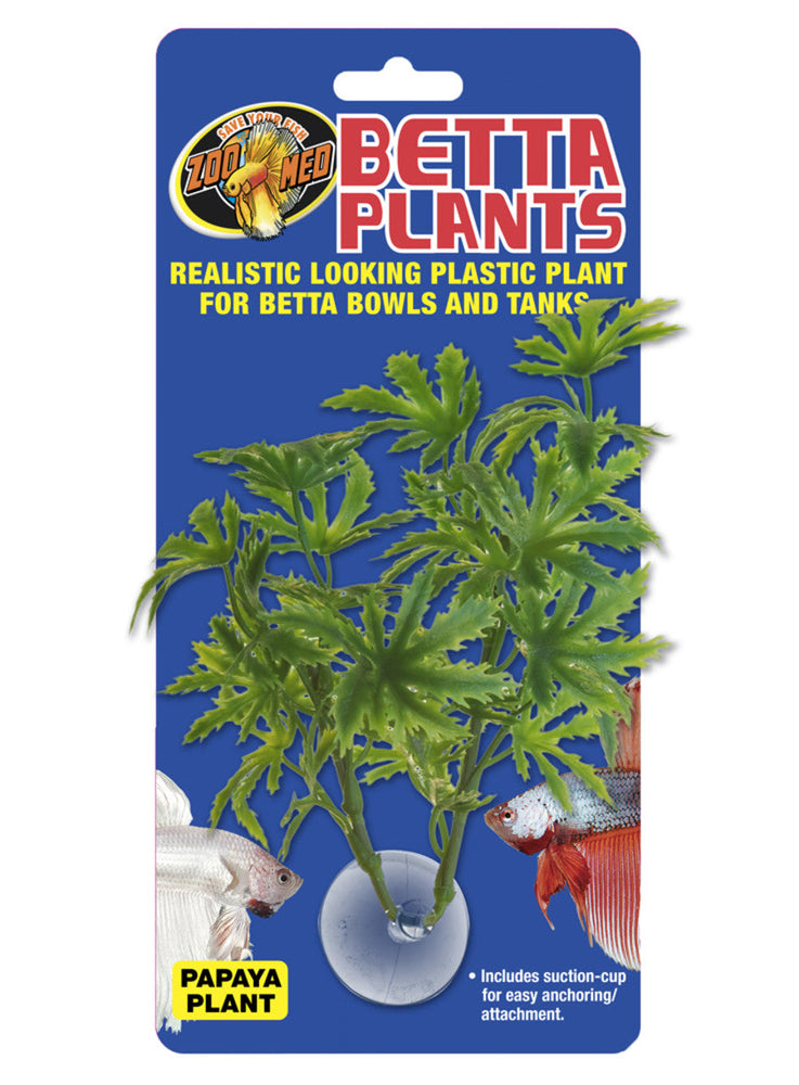 Zoo Med Betta Plant Papaya Green 1ea for your Pet Fish.