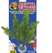 Zoo Med Betta Plant Salvia Green 1ea for your Pet Fish with Pet Store X!