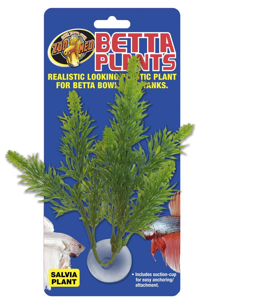 Zoo Med Betta Plant Salvia Green 1ea for your Pet Fish with Pet Store X!