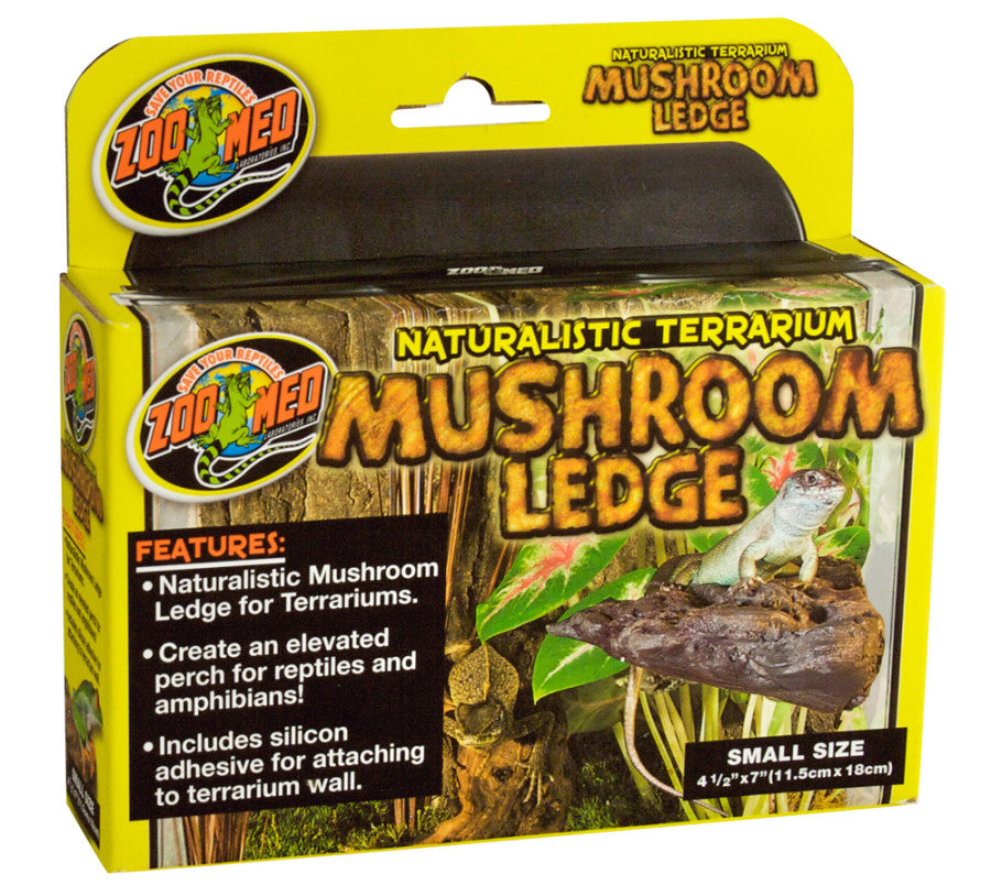 Zoo Med Mushroom Ledge Elevated Perch Brown 1ea/SM for your Pet Reptile with Pet Store X.