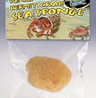 Zoo Med All Natural Hermit Crab Sea Sponge Yellow 1ea/1 ct for your Pet Reptile with Pet Store X.