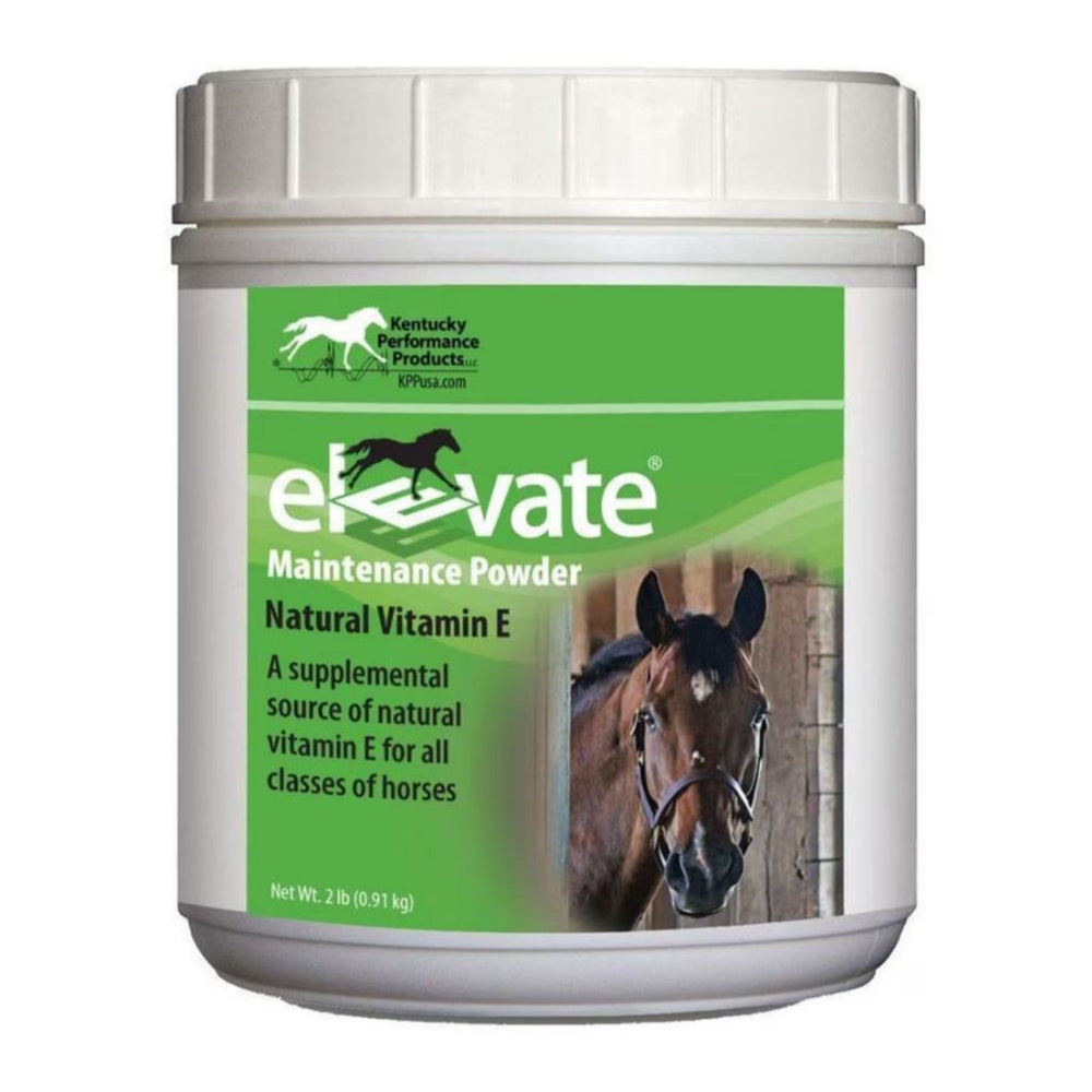 Elevate Maintenance Powder 2Lbs.