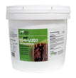 Elevate Maintenance Powder 10Lbs.