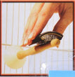 JW Pet Perch Cleaner 1ea/One Size