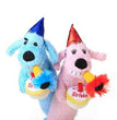 Multipet Loofa Birthday(Assorted) 12 Inch