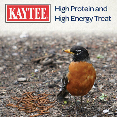 Kaytee Mealworm Food Pouch 1ea/7 oz