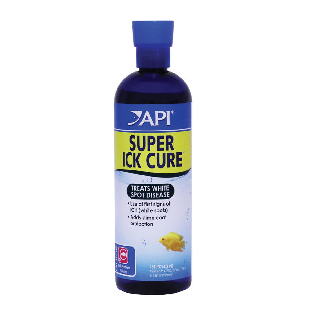 API Liquid Super Ick Cure 1ea/16oz for your Pet Fish with Pet Store X!