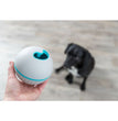 Trixie Dog Treat Tumbler Snack Ball - Level 1 Puzzle