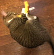 Yeowww! Banana Catnip Cat Toy Yellow 1ea/7 in