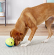 Nina Ottosson Treat Tumble Dog Toy Blue/Yellow 1ea/SM