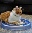 Bergan Turbo Scratcher Cat Toy Scratching Pad Assorted