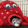 Marshall Pet Products Ferret Octo-Play Toy Octopus Red 1ea/One Size