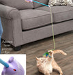 Spot Laser and Feather Teaser Wand Cat Toy Assorted 12 in