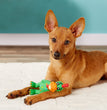 Multipet Globkens Chicken Dog Toy Assorted 1ea/Mini, 5.6 in