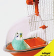 JW Pet Insight Bird Bath Assorted 1ea/One Size