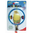 JW Pet ActiviToy Ring Clear Bird Toy Multi-Color 1ea/SM/MD