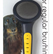 JW Pet Slicker Brush with Soft Pins Grey/Yellow 1ea/SM for your Pet Dog with Pet Store X.