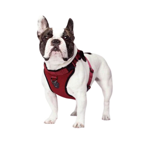 Canada Pooch Dog Everything Harness Mesh Red XLG for your Pet Dog with Pet Store X.