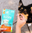 Ark Naturals Dog Breath Bursts Cinnamon Bits 4oz.