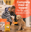 CANIDAE All Life Stages Canned Dog Food Lamb & Rice 13oz