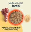 CANIDAE All Life Stages Canned Dog Food Lamb & Rice 13oz