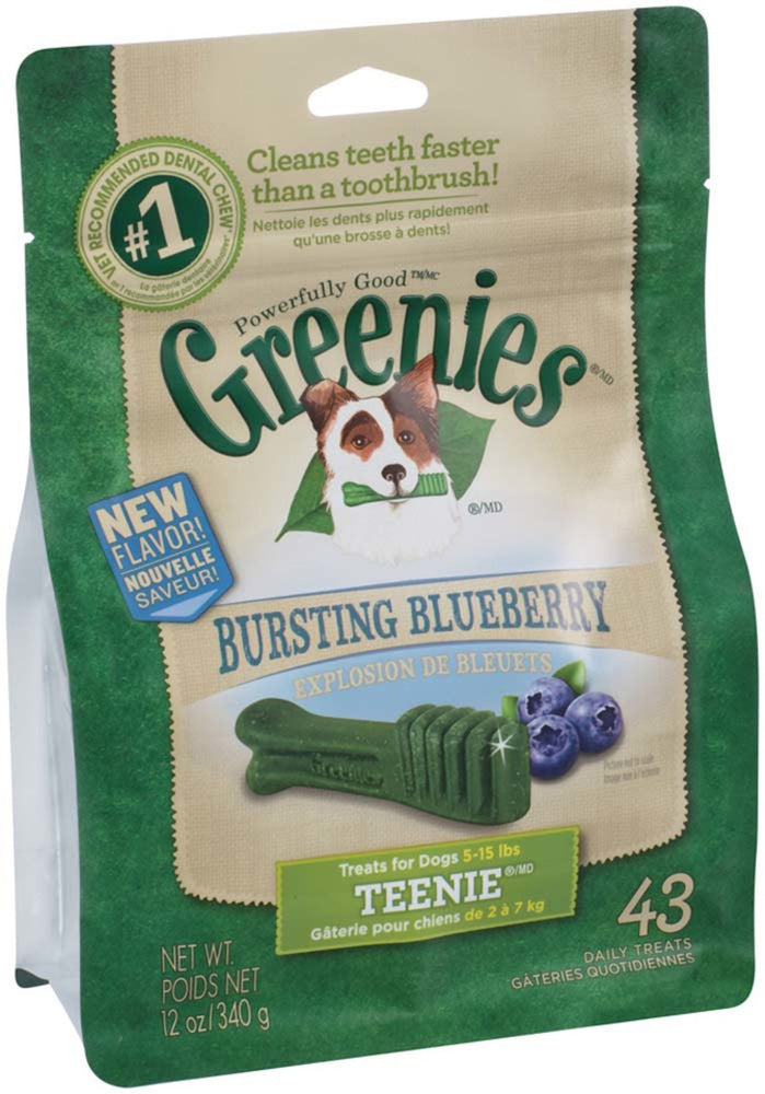 Greenies Dog Dental Treats Teenie Blueberry 1ea/12 oz, 43 ct for your Pet Dog with Pet Store X!