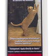 Sticky Paws Furniture Protector 1ea/24 ct