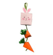 A & E Nibbles-Bunny/Carrot-Box-Toy